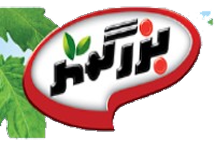 بزرگمهر