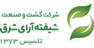 شیفته آرا